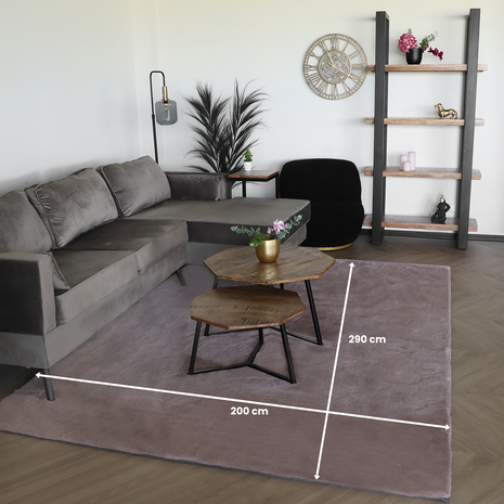 Lizzely Garden & Living Vloerkleed 200x290cm roze hoogpolig Liv fluffy vloerkleed Lizzely Garden & Living Vloerkleed 200x290cm roze hoogpolig Liv fluffy vloerkleed