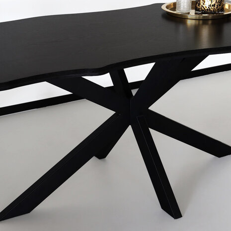 Lizzely Garden & Living Tweedekans model: Eettafel langwerpig 160cm Jeffo zwart langwerpige tafel Lizzely Garden & Living Tweedekans model: Eettafel langwerpig 160cm Jeffo zwart langwerpige tafel