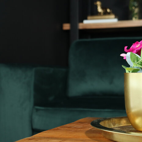 Lizzely Garden & Living Zitbank Zora 2,5-zits donkergroen velvet bank stof bankstel