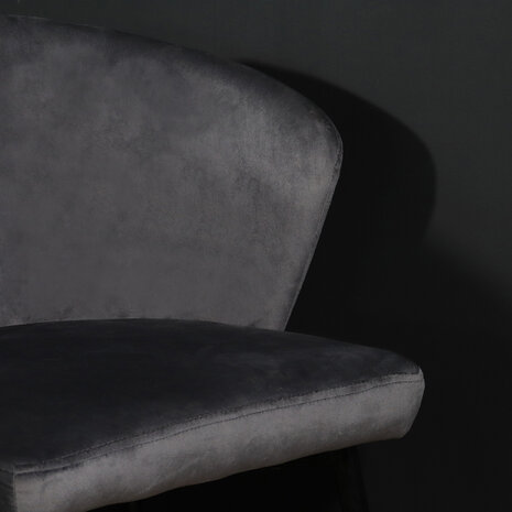 Lizzely Garden & Living Eetkamerstoel velvet grijs Felix eetstoel Lizzely Garden & Living Eetkamerstoel velvet grijs Felix eetstoel