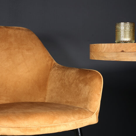 Lizzely Garden & Living Eetkamerstoel met armleuning Ares velvet bruin eetstoel Lizzely Garden & Living Eetkamerstoel met armleuning Ares velvet bruin eetstoel