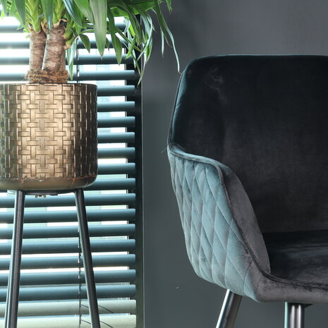 Lizzely Garden & Living Eetkamerstoel met armleuning Ares velvet zwart eetstoel Lizzely Garden & Living Eetkamerstoel met armleuning Ares velvet zwart eetstoel