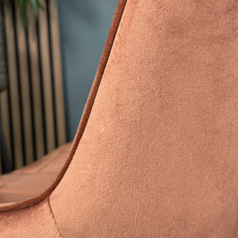 Lizzely Garden & Living Eetkamerstoel De Vince bruin velvet eetstoel Lizzely Garden & Living Eetkamerstoel De Vince bruin velvet eetstoel