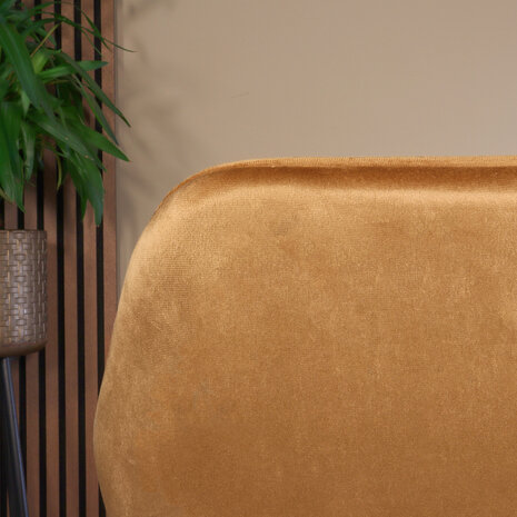 Lizzely Garden & Living Eetkamerstoel met armleuning Darcio bruin velvet eetstoel