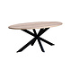 Lizzely Garden & Living Eettafel ovaal 210cm Rato naturel ovale tafel Lizzely Garden & Living Eettafel ovaal 210cm Rato naturel ovale tafel