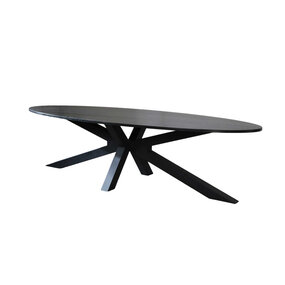 Lizzely Garden & Living Eettafel ovaal 300cm Rato zwart ovale tafel Lizzely Garden & Living Eettafel ovaal 300cm Rato zwart ovale tafel
