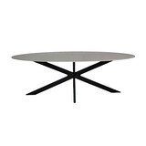 Lizzely Garden & Living Eettafel ovaal 210cm Figo marmerlook grijs ovale tafel Lizzely Garden & Living Eettafel ovaal 210cm Figo marmerlook grijs ovale tafel