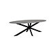 Lizzely Garden & Living Eettafel ovaal 210cm Figo marmerlook grijs ovale tafel Lizzely Garden & Living Eettafel ovaal 210cm Figo marmerlook grijs ovale tafel
