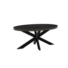 Eettafel ovaal mangohout 160cm James zwart ovale industriële tafel duurzaam mango eetkamertafel Eettafel ovaal mangohout 160cm James zwart ovale industriële tafel duurzaam mango eetkamertafel