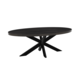 Lizzely Garden & Living Eettafel ovaal mangohout 200cm James zwart ovale industriële tafel duurzaam mango eetkamertafel Lizzely Garden & Living Eettafel ovaal mangohout 200cm James zwart ovale industriële tafel duurzaam mango eetkamertafel