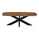 Lizzely Garden & Living Salontafel deens ovaal mangohout 130cm Livy bruin Lizzely Garden & Living Salontafel deens ovaal mangohout 130cm Livy bruin