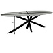 Lizzely Garden & Living Eettafel ovaal 235cm Figo marmerlook grijs ovale tafel Lizzely Garden & Living Eettafel ovaal 235cm Figo marmerlook grijs ovale tafel