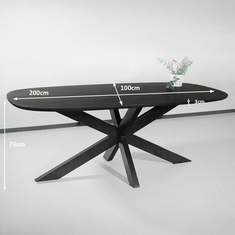 Lizzely Garden & Living Eettafel deens ovaal mangohout 200cm Austin zwart ovale tafel duurzaam mango eetkamertafel Lizzely Garden & Living Eettafel deens ovaal mangohout 200cm Austin zwart ovale tafel duurzaam mango eetkamertafel