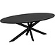 Lizzely Garden & Living Eettafel ovaal 210cm Rato zwart ovale tafel Lizzely Garden & Living Eettafel ovaal 210cm Rato zwart ovale tafel