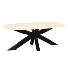 Salontafel deens ovaal marmerlook wit steen 120cm Elif Salontafel deens ovaal marmerlook wit steen 120cm Elif