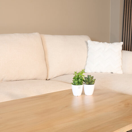 Lizzely Garden & Living Salontafel x poot mangohout 130cm Pato lichtbruin Lizzely Garden & Living Salontafel x poot mangohout 130cm Pato lichtbruin