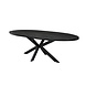 Lizzely Garden & Living Uitschuifbare eettafel ovaal 180-240cm Liam zwart MDF eetkamer tafel