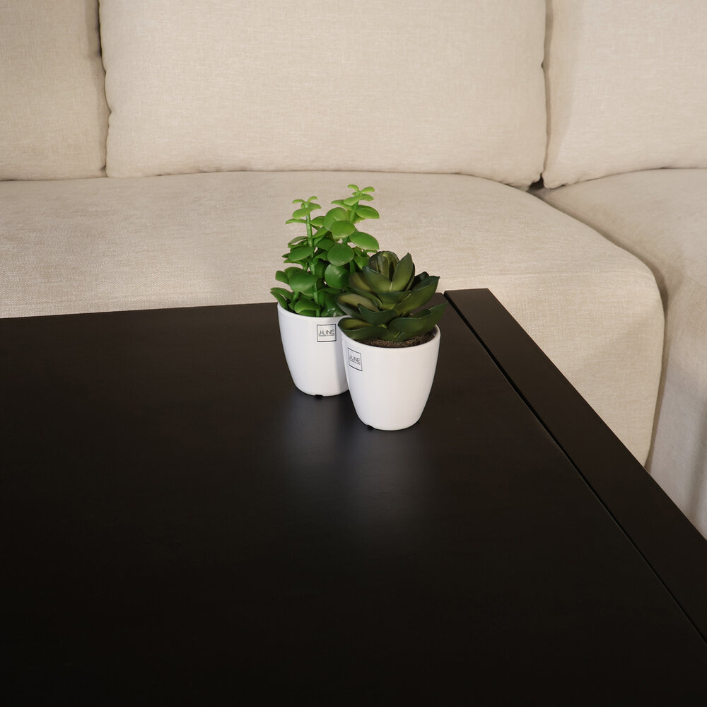 Salontafel 90cm Violet mangohout zwart Salontafel 90cm Violet mangohout zwart