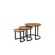 Lizzely Garden & Living Salontafel rond 3delig lichtbruin mangohout Jaell