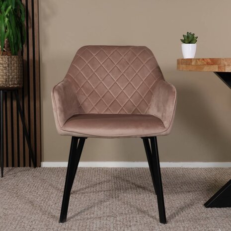 Lizzely Garden & Living Eetkamerstoel met armleuning Yurgan velvet champagne eetstoel Lizzely Garden & Living Eetkamerstoel met armleuning Yurgan velvet champagne eetstoel