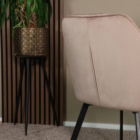 Lizzely Garden & Living Eetkamerstoel met armleuning Yurgan velvet champagne eetstoel Lizzely Garden & Living Eetkamerstoel met armleuning Yurgan velvet champagne eetstoel