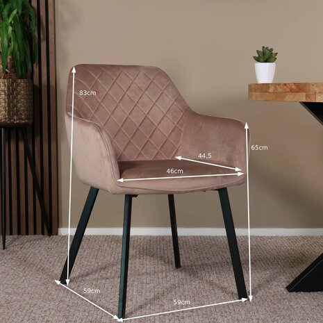 Lizzely Garden & Living Eetkamerstoel met armleuning Yurgan velvet champagne eetstoel Lizzely Garden & Living Eetkamerstoel met armleuning Yurgan velvet champagne eetstoel
