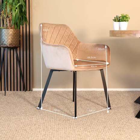 Lizzely Garden & Living Eetkamerstoel met armleuning Yurgan velvet champagne eetstoel Lizzely Garden & Living Eetkamerstoel met armleuning Yurgan velvet champagne eetstoel