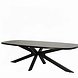 Lizzely Garden & Living Eettafel Leco deens ovaal 270cm zwart melamine Lizzely Garden & Living Eettafel Leco deens ovaal 270cm zwart melamine