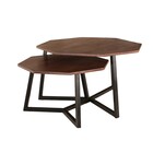 Salontafel 2delig mangohout hexagon Loes industrieel massief hout mango