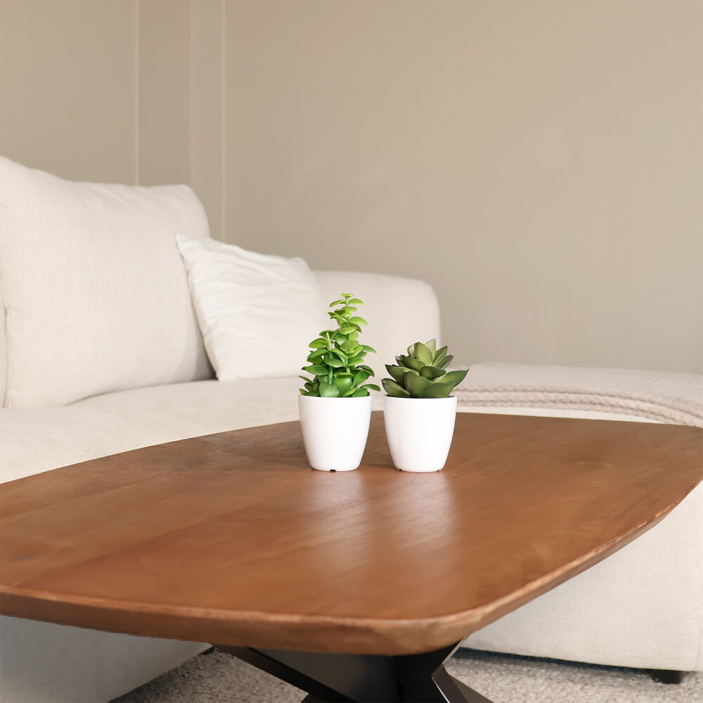 Salontafel deens ovaal mangohout 120cm Livy zwart