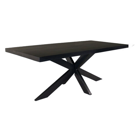 Lizzely Garden & Living Eettafel langwerpig mangohout 200cm zwart John langwerpige tafel duurzaam mango eetkamertafel