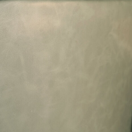 Lizzely Garden & Living Eetkamerstoel Catoo groen kunstleder eetstoel