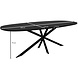 Lizzely Garden & Living Eettafel Deens ovaal 240x110cm zwart Hero ovale eettafel