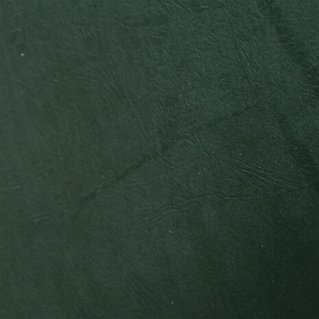 Lizzely Garden & Living Hoekbank design Venna 200cm bank donkergroen velvet