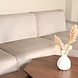 Lizzely Garden & Living Hoekbank design Riley 270cm bank champagne velvet loungebank rechts