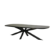 Lizzely Garden & Living Eettafel Leco deens ovaal 300cm zwart melamine