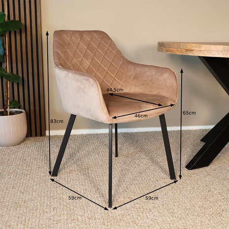 Lizzely Garden & Living Eetkamerstoel met armleuning Yurgan velvet champagne eetstoel Lizzely Garden & Living Eetkamerstoel met armleuning Yurgan velvet champagne eetstoel