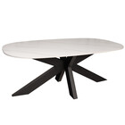 Salontafel deens ovaal marmerlook wit steen 120cm Elif Salontafel deens ovaal marmerlook wit steen 120cm Elif