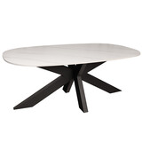 Lizzely Garden & Living Salontafel deens ovaal marmerlook wit steen 120cm Elif
