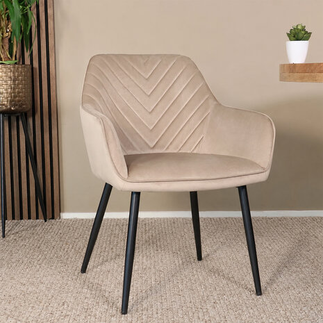 Lizzely Garden & Living Eetkamerstoel met armleuning Darcio lichtbruin velvet eetstoel Lizzely Garden & Living Eetkamerstoel met armleuning Darcio lichtbruin velvet eetstoel
