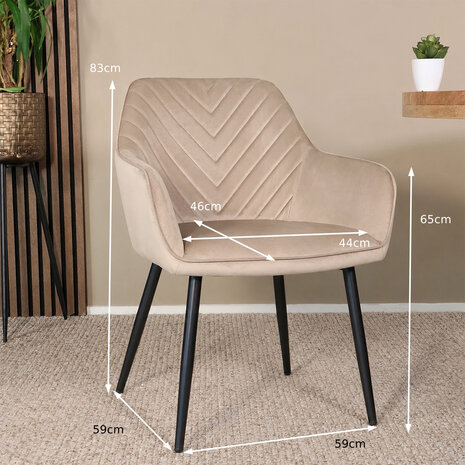 Lizzely Garden & Living Eetkamerstoel met armleuning Darcio lichtbruin velvet eetstoel Lizzely Garden & Living Eetkamerstoel met armleuning Darcio lichtbruin velvet eetstoel