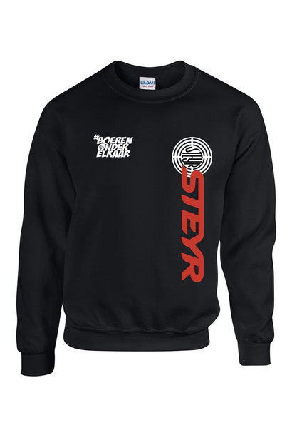 Sweater - Steyr