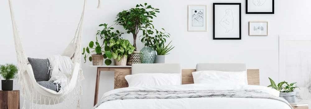 Pflanzen im Schlafzimmer: Welche soll ich wählen?