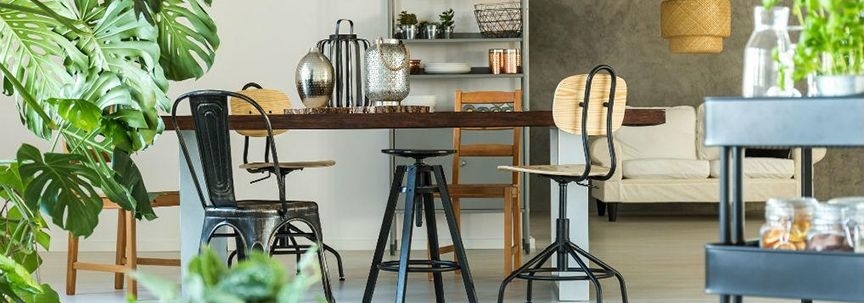 Welche Pflanze soll in welches Zimmer?