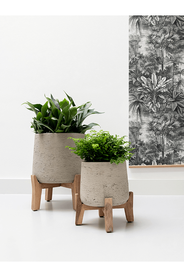 Rough With Feet Low Patt XXXL Grau gewaschen