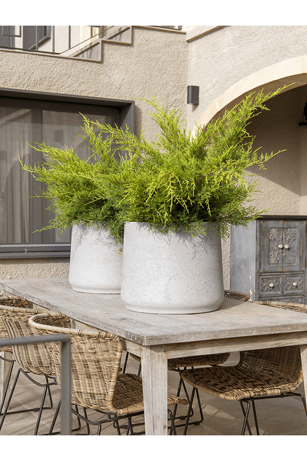 Rough Patt XXXL Grau gewaschen