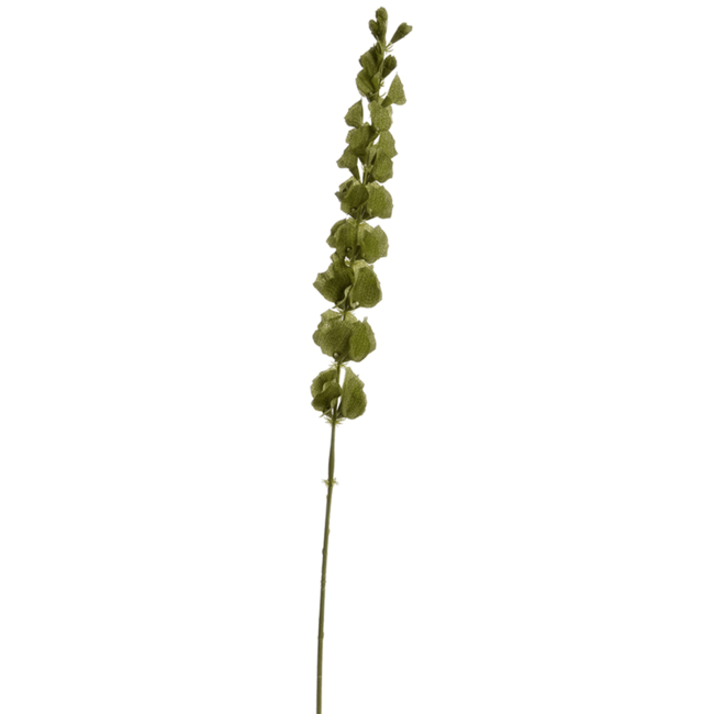 Molucela-Kunstpflanze