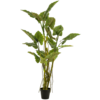 Colocasia Kunstpflanze