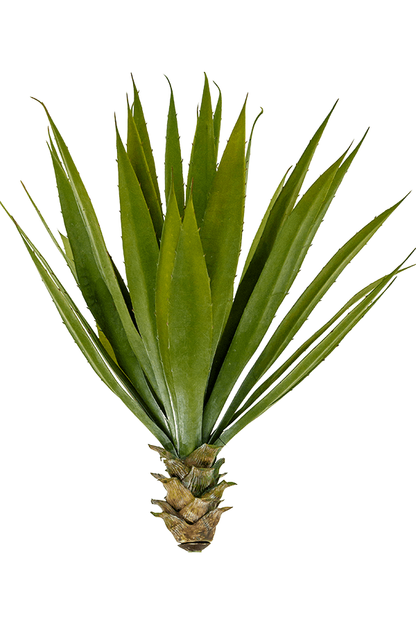 Agave Kunstpflanze