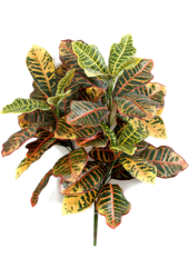 Croton-Kunstpflanze